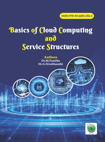 Basics of Cloud Computing and Service Structures